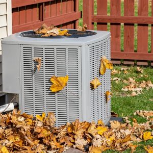 Why You Should Schedule Fall HVAC Maintenance in DC, MD & VA